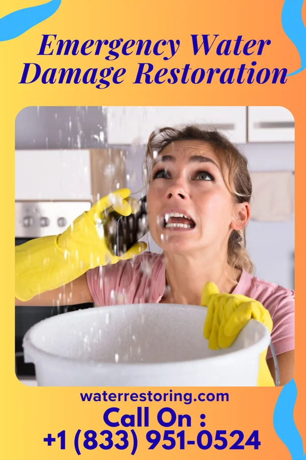 Emergency Water Damage Restoration in Plainfield, IN