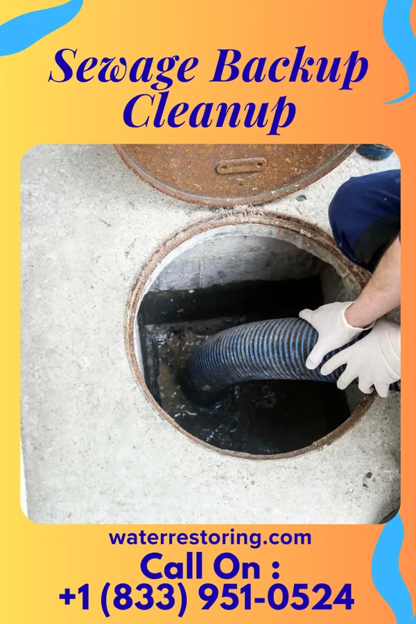 Sewage Backup Cleanup in Plainfield, IN